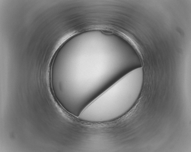 X0000116651050200912141002