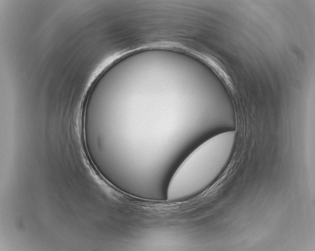 X0000116651054200912141002