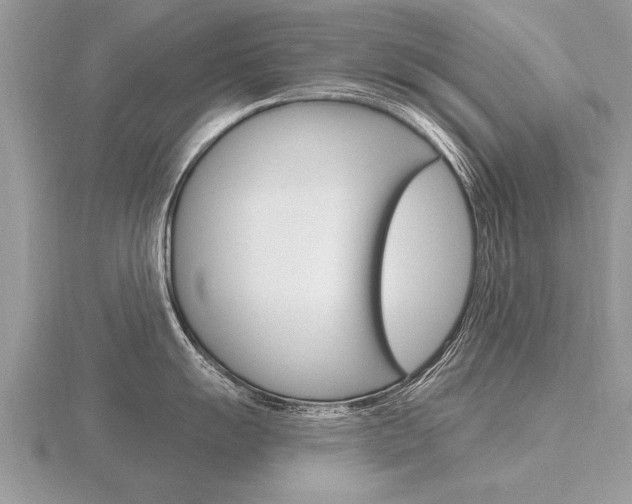 X0000116651055200912141002