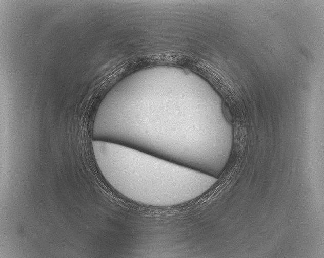 X0000116651058200912141001