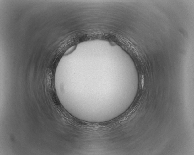 X0000116651059200912141001