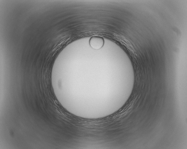 X0000116651060200912141001