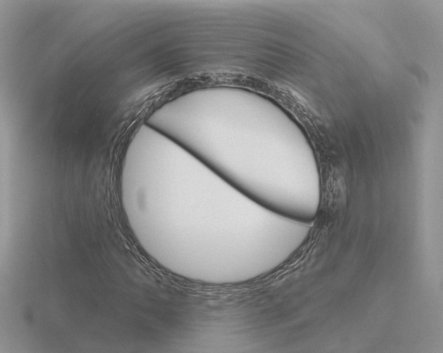 X0000116651062200912141001