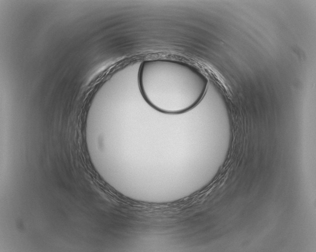 X0000116651064200912141001