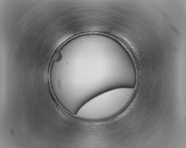 X0000116651073200912141001