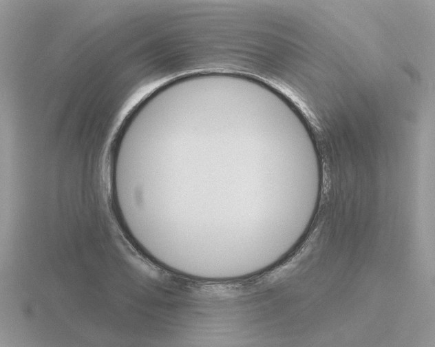X0000116651078200912141001