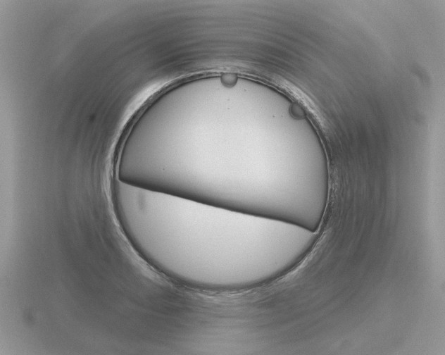 X0000116651082200912141001