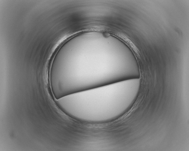 X0000116651083200912141001