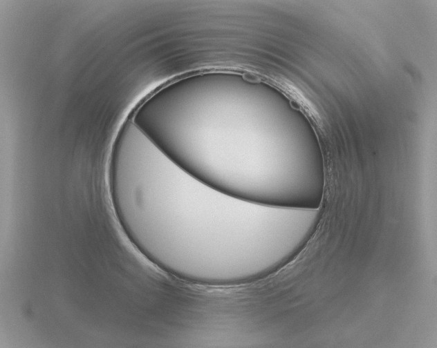 X0000116651084200912141001