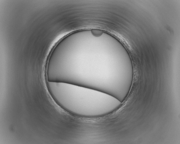 X0000116651086200912141001