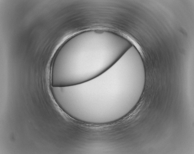 X0000116651099200912141001