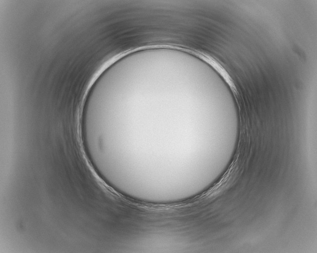 X0000116651101200912141001