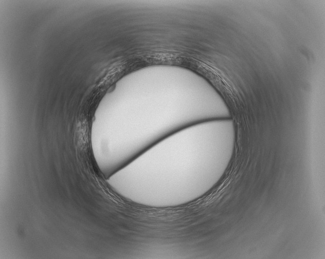 X0000116651107200912141000