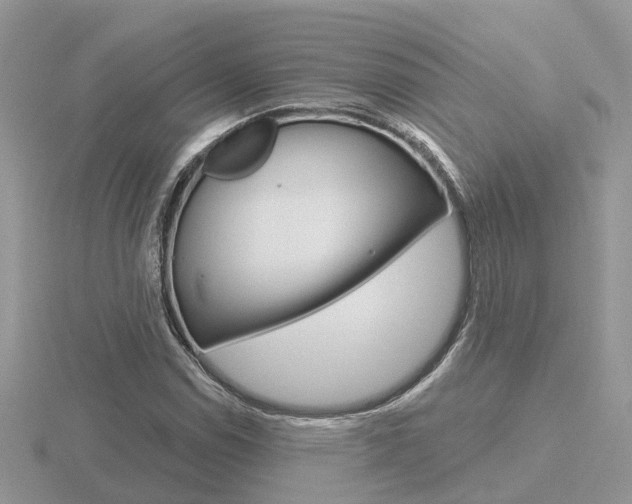 X0000116651114200912141000