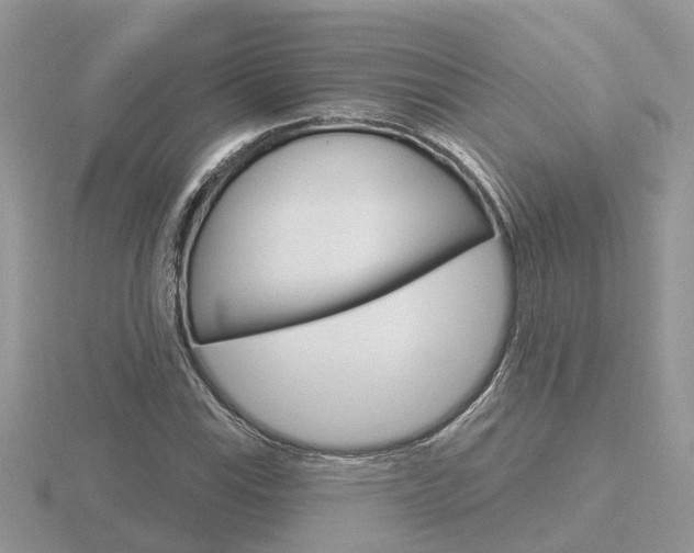 X0000116651115200912141000