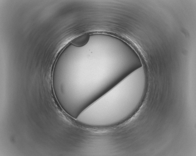 X0000116651129200912141000