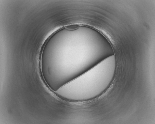 X0000116651134200912141000