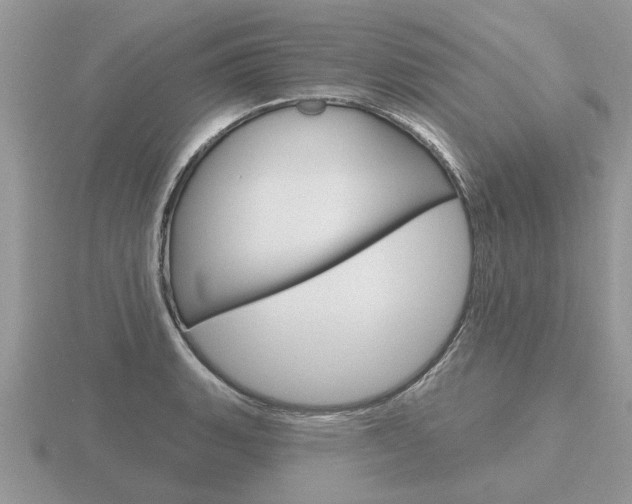 X0000116651135200912141000