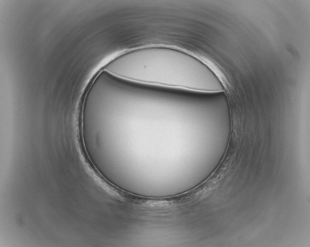 X0000116651142200912141000