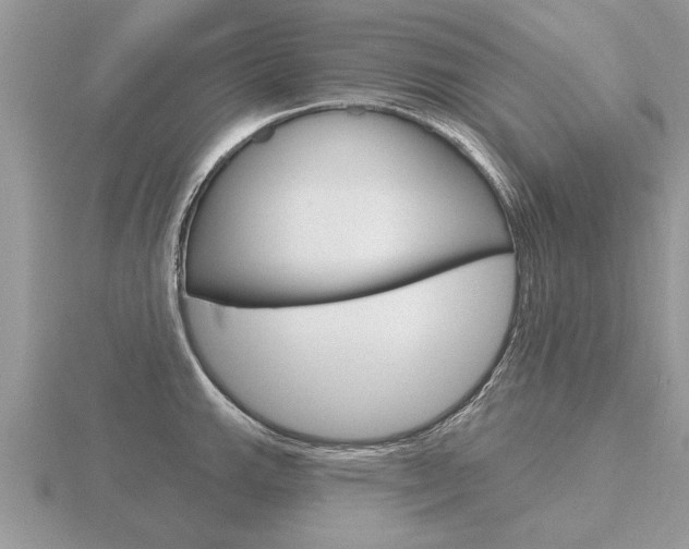 X0000116651143200912141000