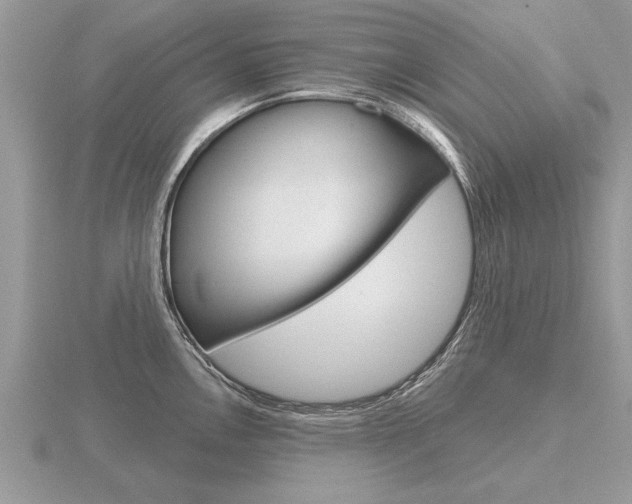 X0000116651146200912141000