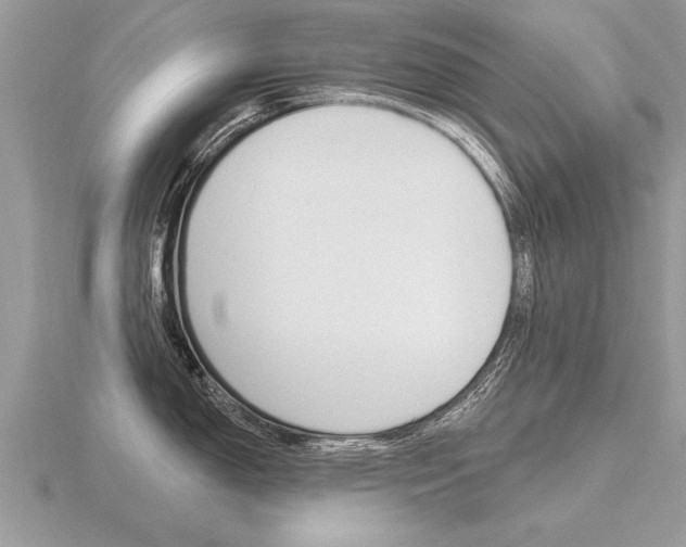 X0000116651150200912141000