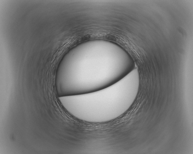 X0000116651153200912141000