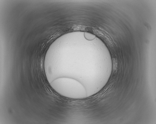 X0000116651154200912141000