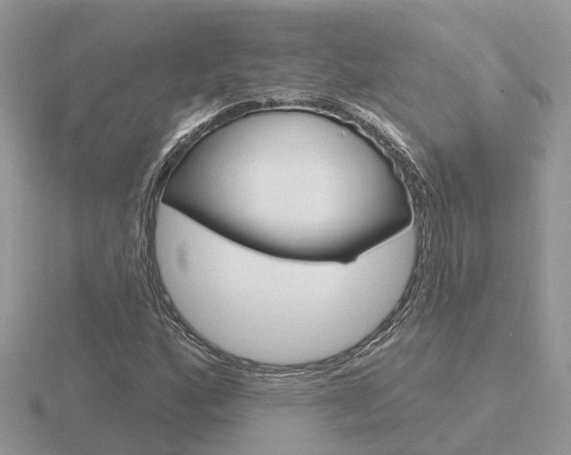 X0000116651160200912141000