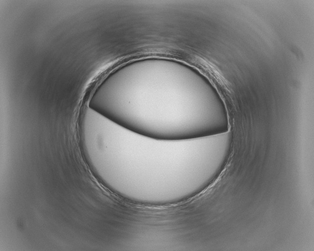 X0000116651164200912141000