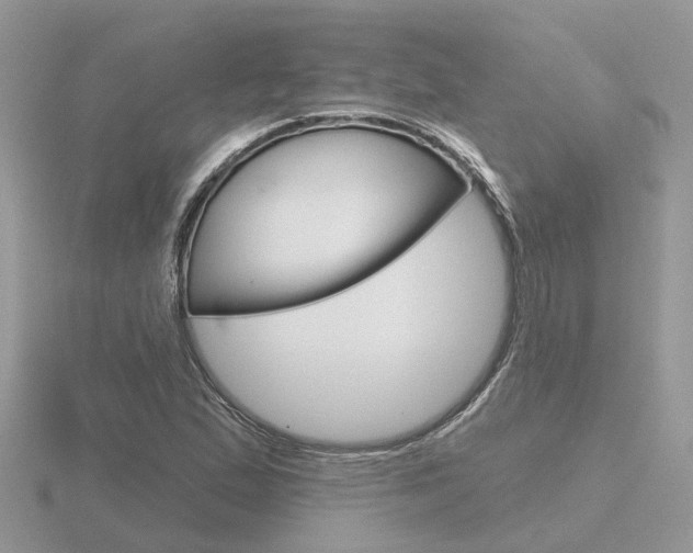 X0000116651167200912141000