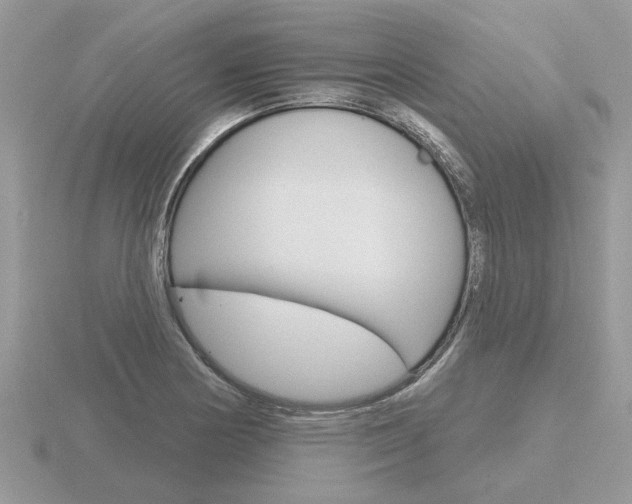 X0000116651178200912140959