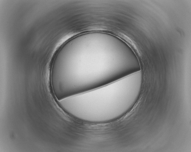 X0000116651179200912140959