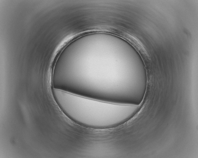 X0000116651180200912140959