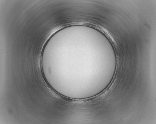 X0000116651186200912140959