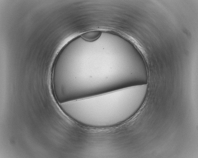 X0000116651187200912140959