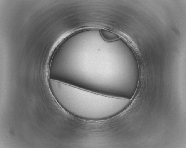 X0000116651188200912140959