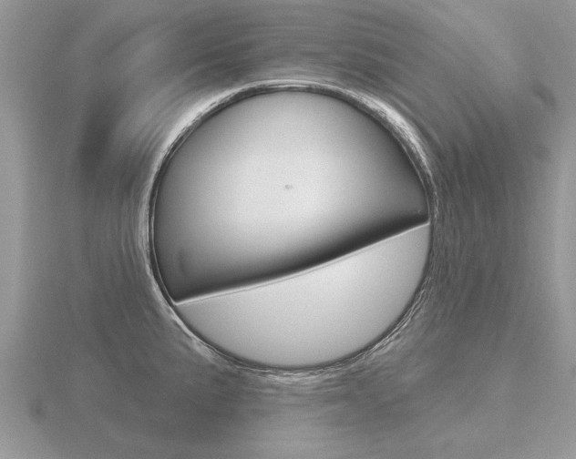X0000116651191200912140959