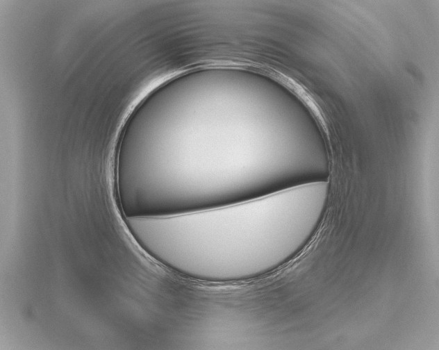 X0000116651195200912140959