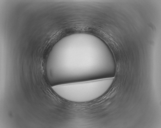 X0000116651202200912140959