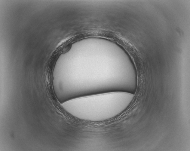 X0000116651206200912140959