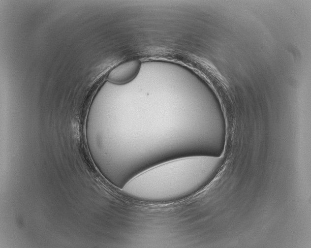 X0000116651209200912140959