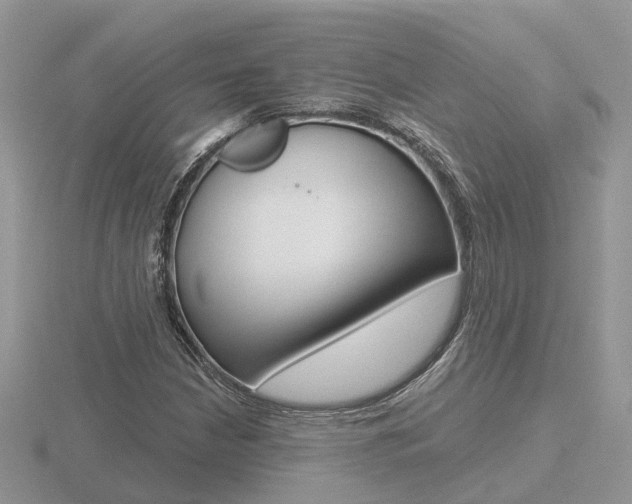 X0000116651210200912140959