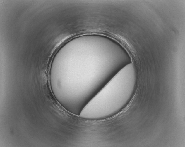 X0000116651212200912140959