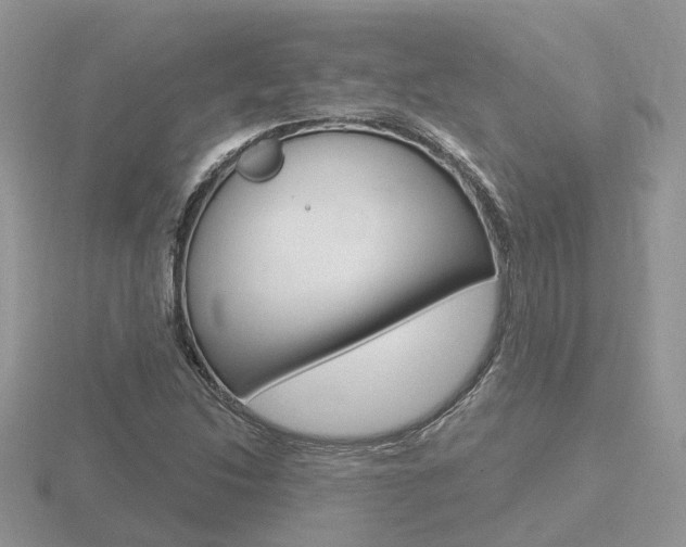 X0000116651214200912140959