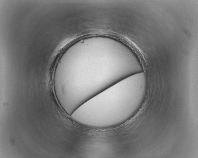 X0000116651215200912140959