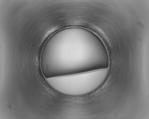 X0000116651218200912140959