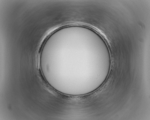 X0000116651223200912140959