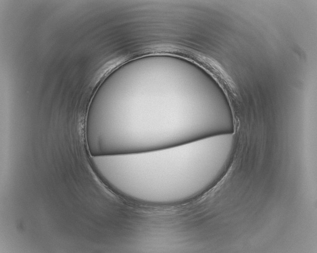 X0000116651225200912140959