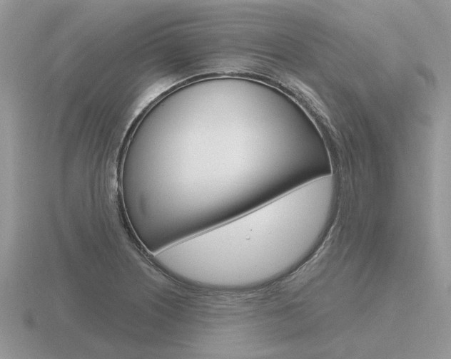 X0000116651226200912140959